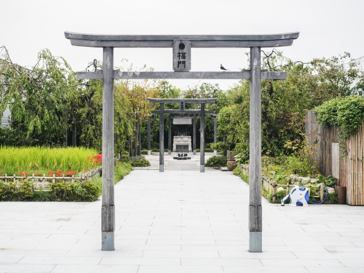 【福岡輕旅行 - 上回】-- 旅遊/拍攝