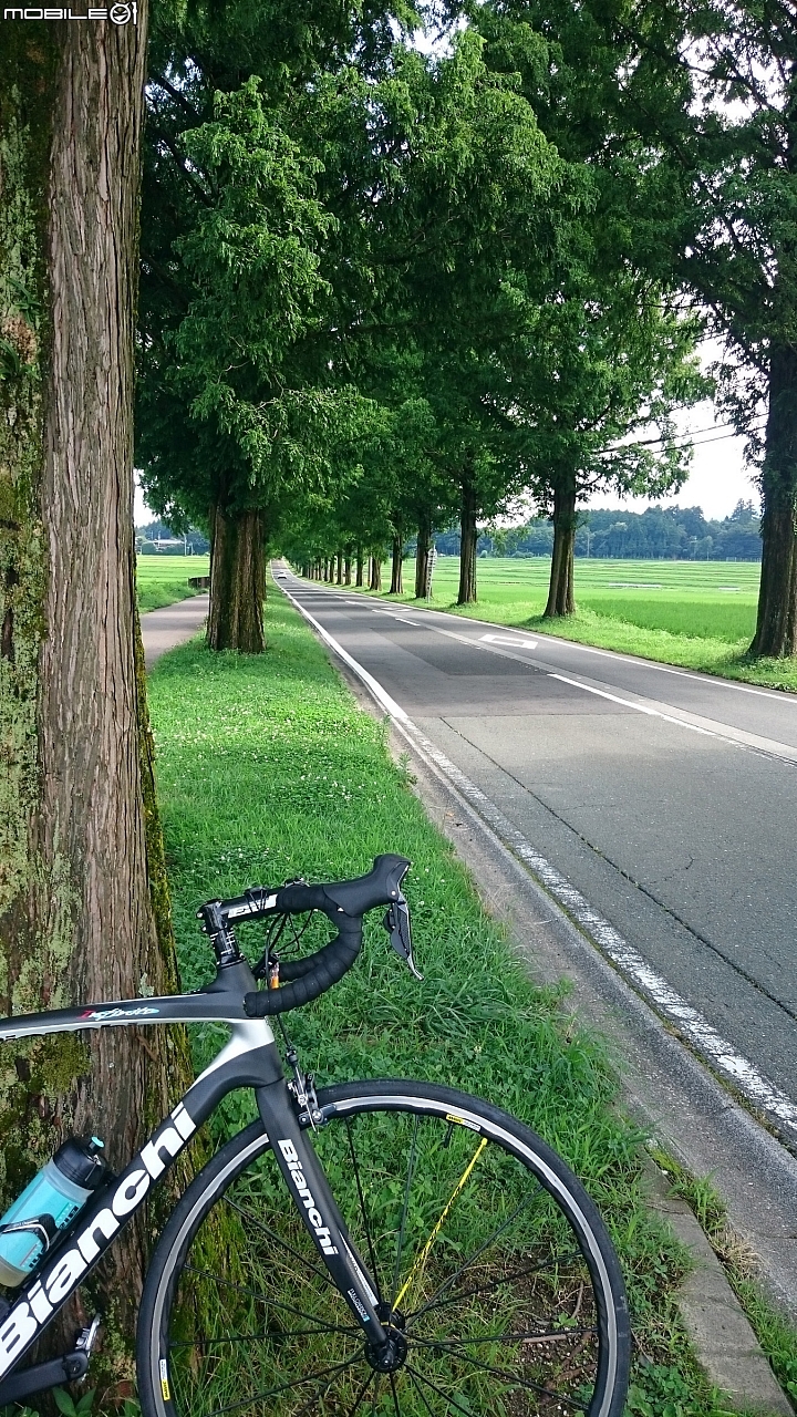 2016年 真夏大阪－京都－琵琶湖 單車十日遊