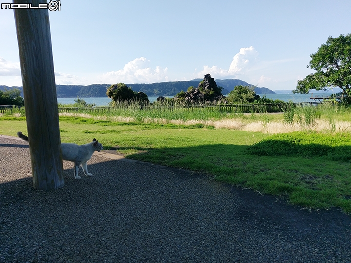 Welcome Cute一日券 搭市電、渡輪、巡迴巴士遊櫻島