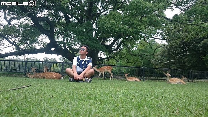 2016年 真夏大阪－京都－琵琶湖 單車十日遊