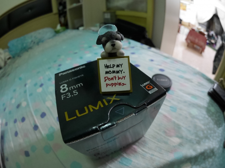 Panasonic FISHEYE 8mm F3.5 魚眼鏡頭 (補班日,不專業開箱) 一起蓋大樓