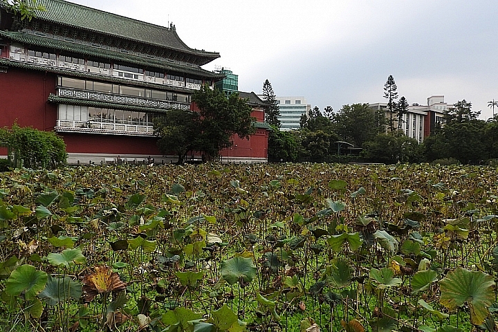 台北免費景點照片分享