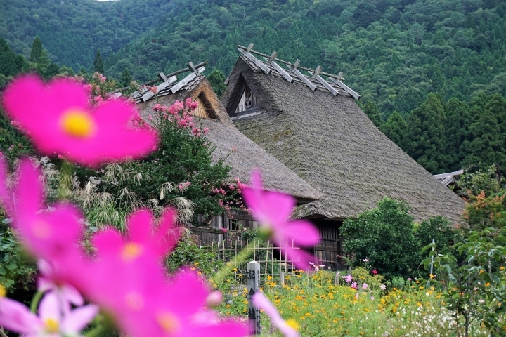 【五天四夜】大阪京都親子自由行分享