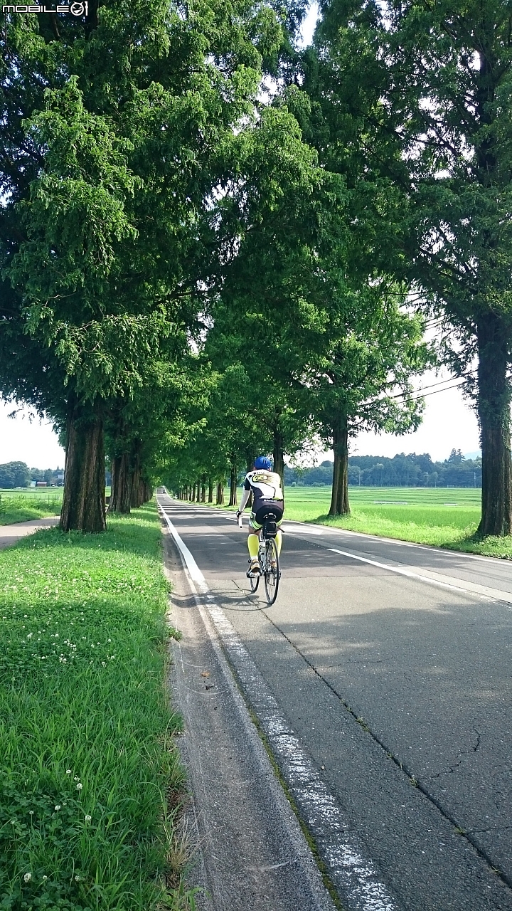 2016年 真夏大阪－京都－琵琶湖 單車十日遊