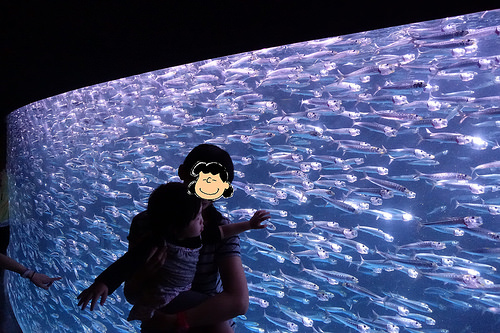 【2016北海道親子行】登別尼克斯海洋公園。企鵝遊行好可愛