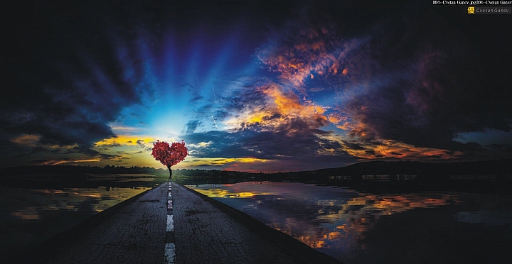 (第71批圖) LG G4 &G5&V10 日夜拍研究團 精選作品2016.9.9