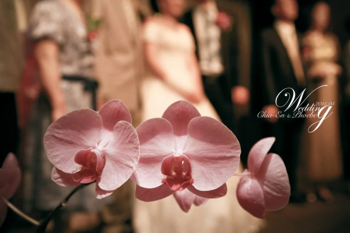 婚攝作品(顏色後製)