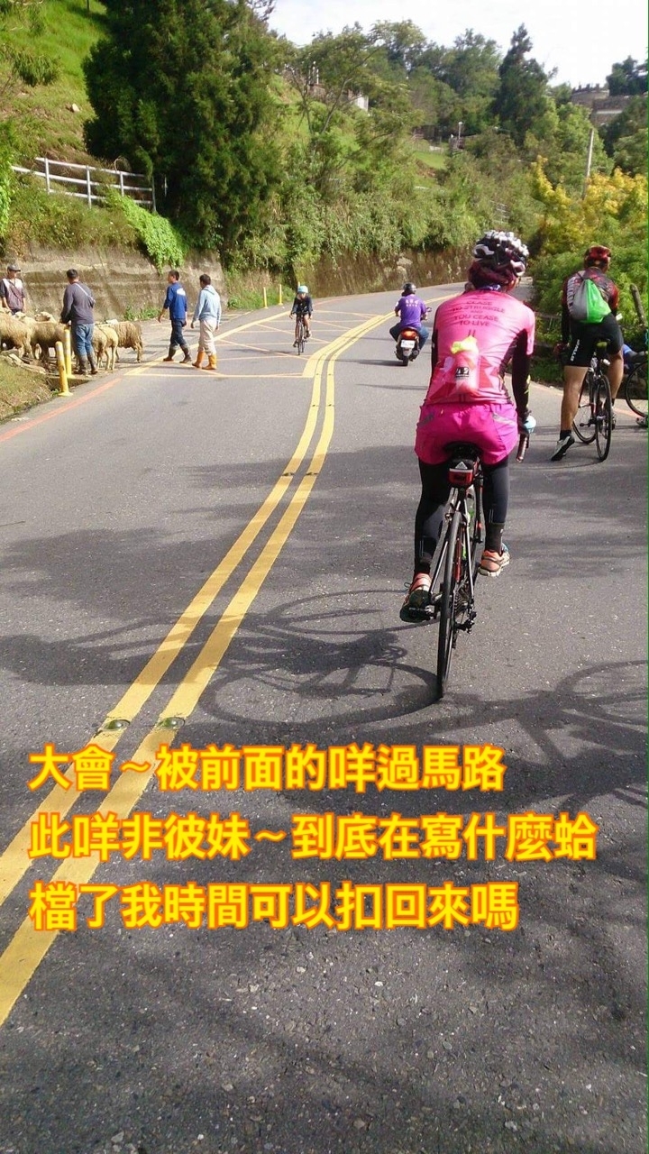第五年~NS武嶺意興闌珊之~~無力