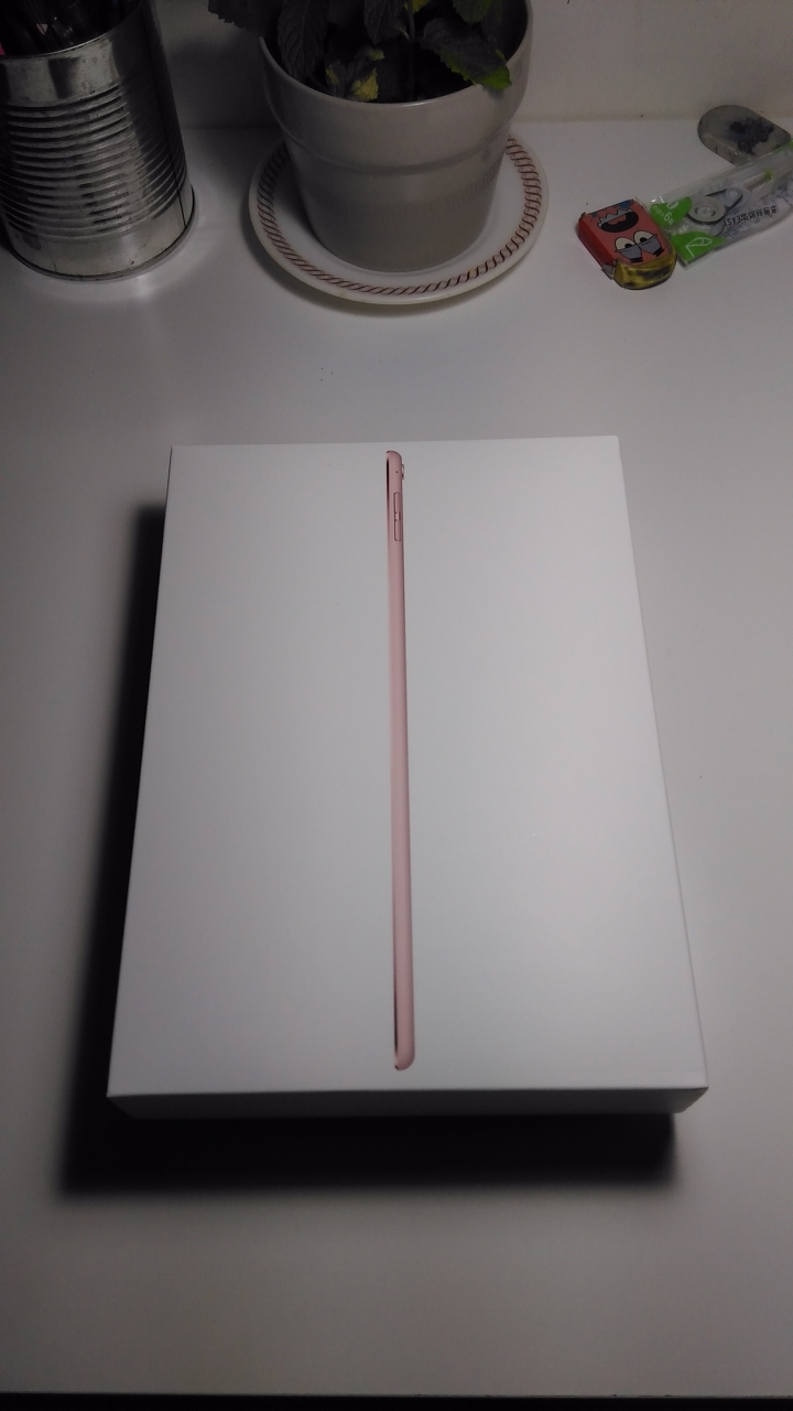 遲來的中秋禮物 iPad pro 32G  Wi-Fi 版 開箱