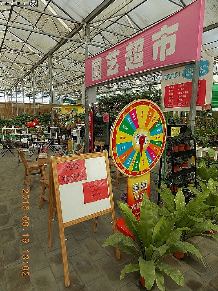 傻瓜相機遊北京