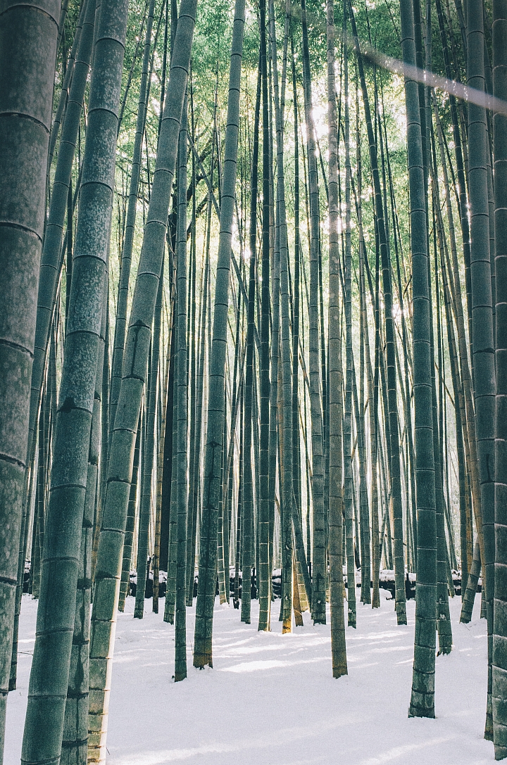 [後製] 不可錯過的雪之京都