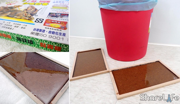 除蟲作戰最佳提案！《上黏PROCATCH》以專業手腕改寫驚魂記結局。(開箱文)