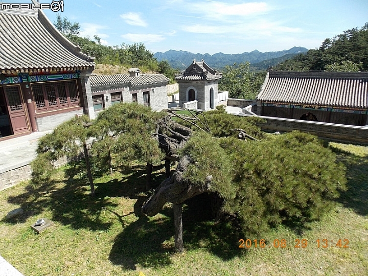 傻瓜相機遊北京
