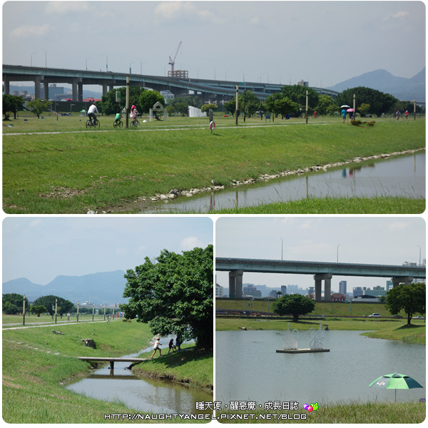 新北市鴨鴨地景藝術公園，超吸睛！地表最狂！可騎單車順遊重新橋市集、星光碼頭
