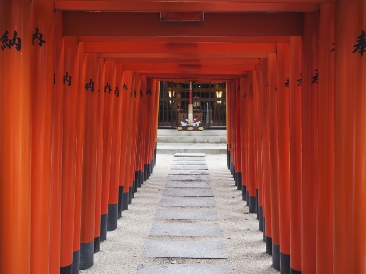 【福岡輕旅行 - 上回】-- 旅遊/拍攝