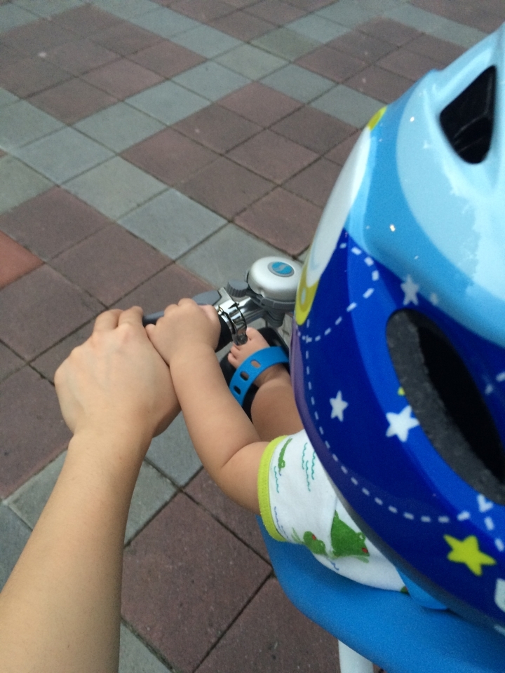 【推薦】單車嬰兒安全座椅選擇 - Yepp & Bobike