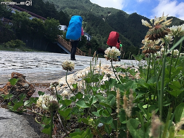 [登山遊記]2016-06嘉明湖再相遇-內文含強烈閃光慎入（圖文影）