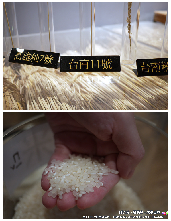 〈彰化親子景點〉中興穀堡稻米博物館「Boom米香」，在地人肉圓推薦，必吃！