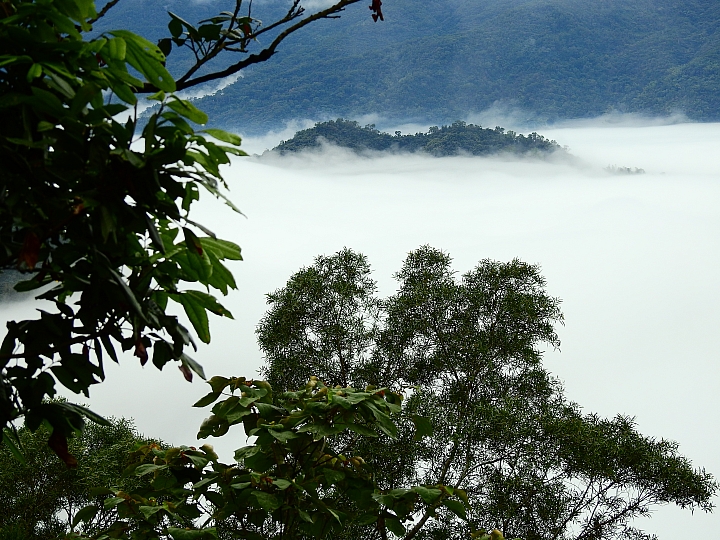 山地門感受點點幸福小確幸：紅藜蔥油餅，也帶您旅遊整個山地門、霧台。