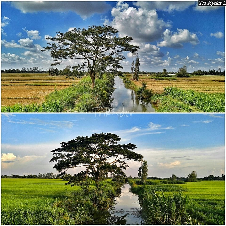 (第71批圖) LG G4 &G5&V10 日夜拍研究團 精選作品2016.9.9