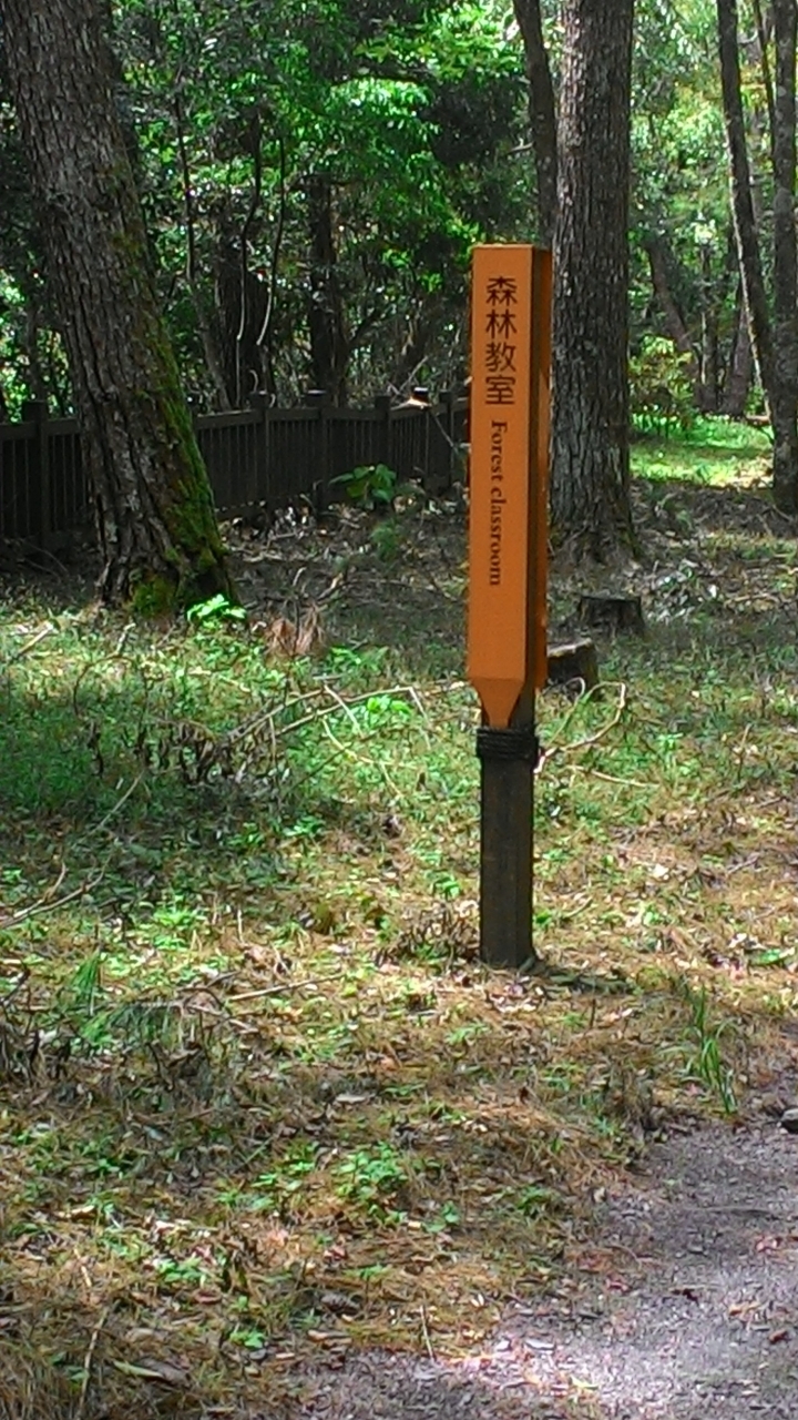 奧萬大一日遊(中136-台14-投83-投71)