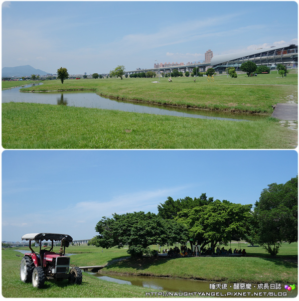 新北市鴨鴨地景藝術公園，超吸睛！地表最狂！可騎單車順遊重新橋市集、星光碼頭