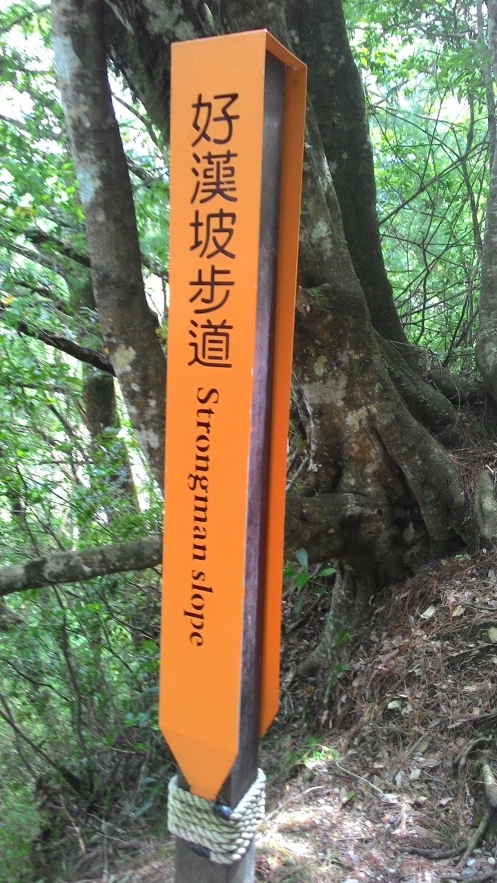 奧萬大一日遊(中136-台14-投83-投71)