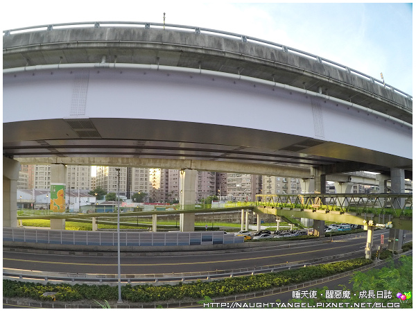 新北市鴨鴨地景藝術公園，超吸睛！地表最狂！可騎單車順遊重新橋市集、星光碼頭