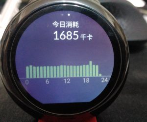 1028更新 [新玩意] 華米運動手錶長期試用報告(圖多)