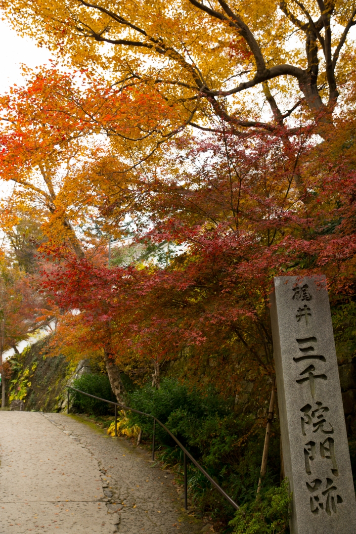 A77的京都