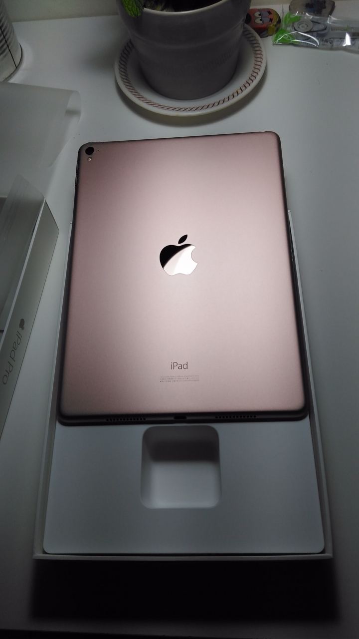 遲來的中秋禮物 iPad pro 32G  Wi-Fi 版 開箱