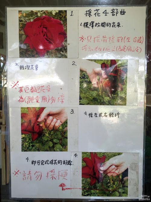 【屏東】好吃又好玩。來大花有機農場當一日花農＆教你做玫瑰果醬