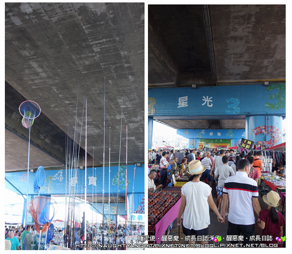 新北市鴨鴨地景藝術公園，超吸睛！地表最狂！可騎單車順遊重新橋市集、星光碼頭