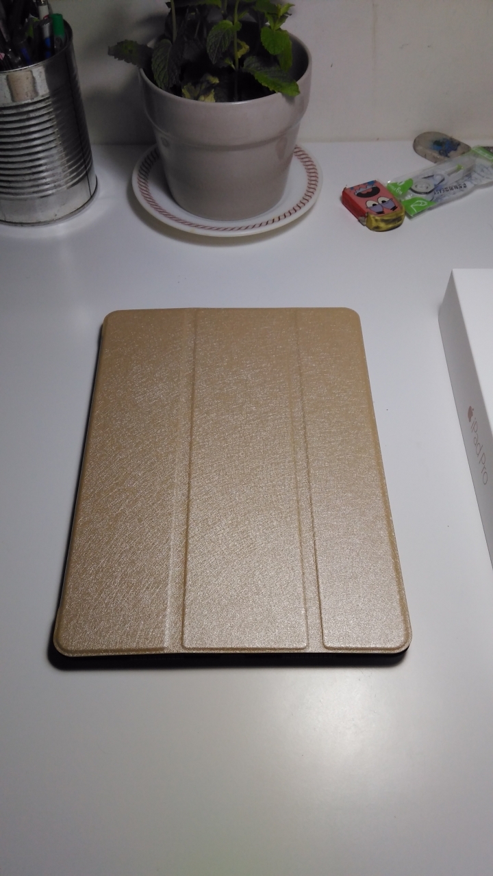 遲來的中秋禮物 iPad pro 32G  Wi-Fi 版 開箱