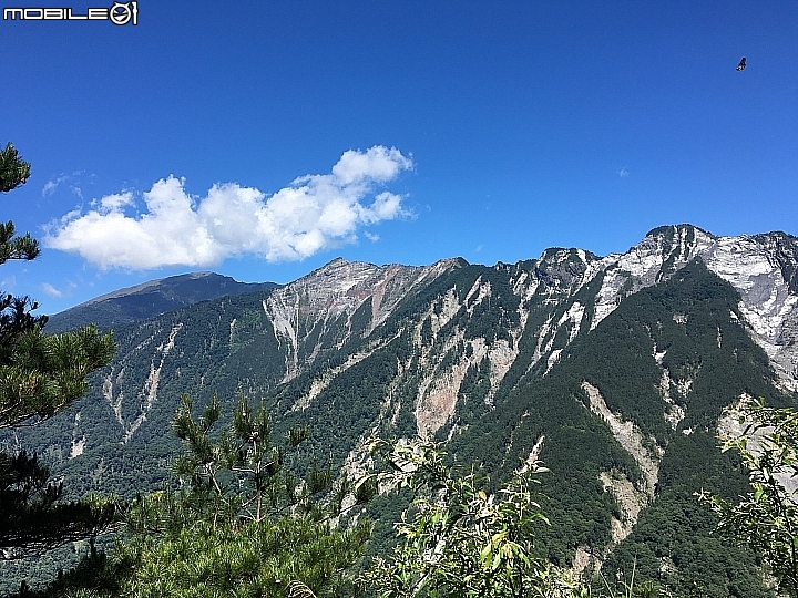 [登山遊記]2016-06嘉明湖再相遇-內文含強烈閃光慎入（圖文影）