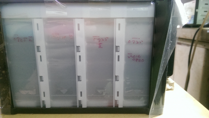 Epson L455 印信封 產生污漬？漏墨？個人感覺很耗墨水~~