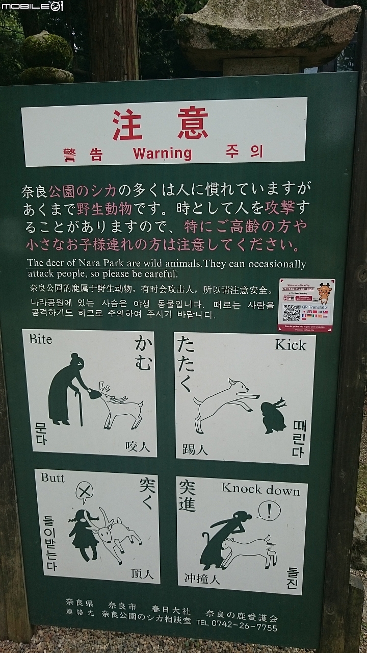 2016年 真夏大阪－京都－琵琶湖 單車十日遊