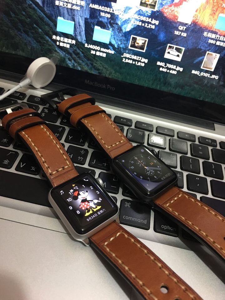 Apple Watch 皮革錶帶分享