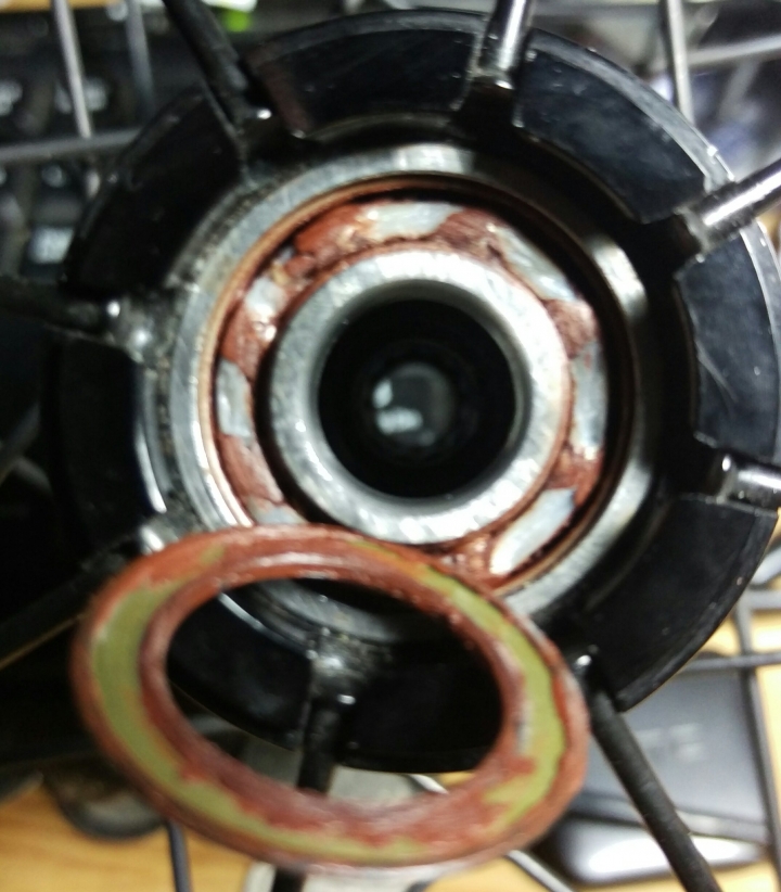 Fulcrum racing sport輪組的DIY保養