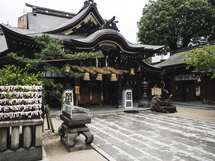 【福岡輕旅行 - 上回】-- 旅遊/拍攝
