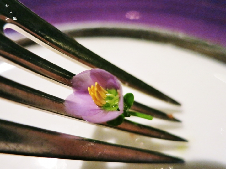 經典之最演繹創新.寶艾西餐廳Bel Air - Bar ‧ Grill.台北君悅酒店@食在五星級.藝人詩攝