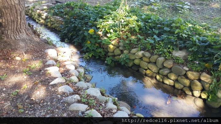 台灣好行縱谷鹿野線-迷鹿野很好旅遊好樂趣!