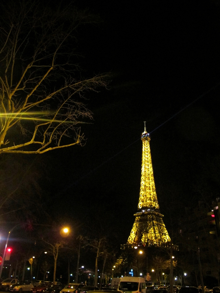【Paris．走跳】登上艾菲爾鐵塔_不畏冬夜冷風也要看到的巴黎絕美夜景