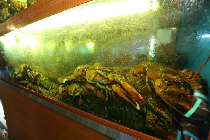 [台中]活蝦料理餐廳-易鼎活蝦台中店  by蛋拔