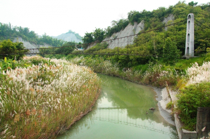 [台南][後壁] 菅芒花秘境~一天變幻3種顏色的菅芒花