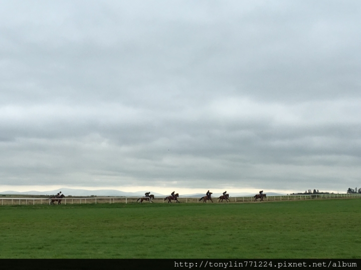 『歐洲旅遊』愛爾蘭最大折扣村Kildare Village Outlet及周邊景點