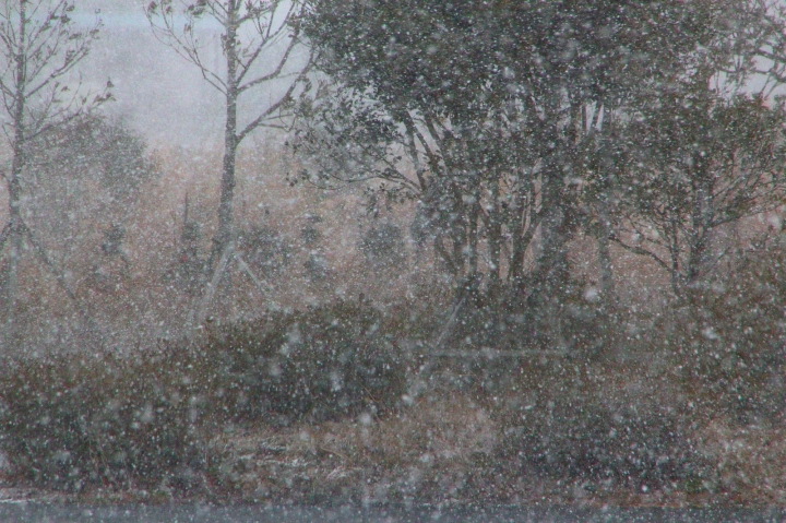 [台南][東區] 淙泉雪花冰~與日本同步的無重力雪花刨冰