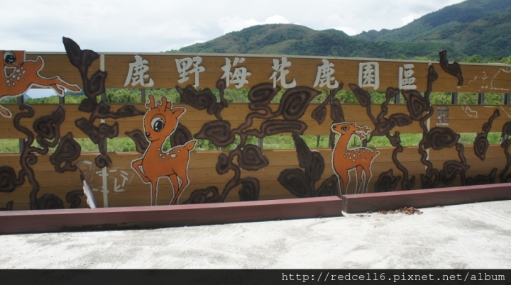 台灣好行縱谷鹿野線-迷鹿野很好旅遊好樂趣!