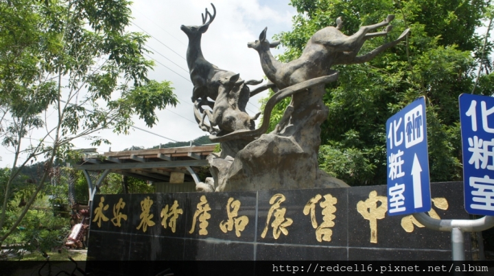 台灣好行縱谷鹿野線-迷鹿野很好旅遊好樂趣!