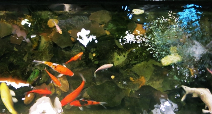 甘泉魚麵.師大店